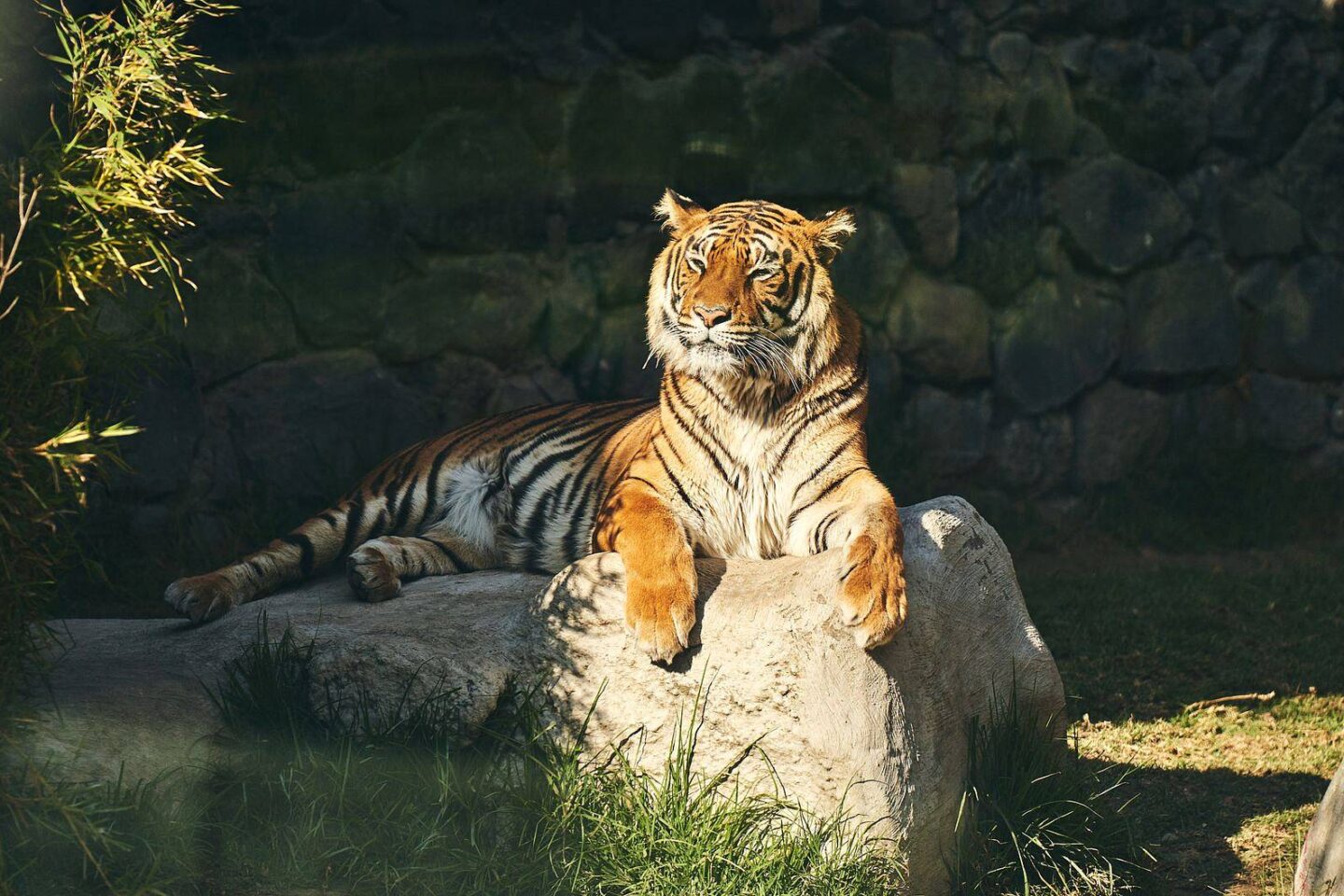Jakie jest najlepsze zoo w Polsce i co warto w nim zobaczyć